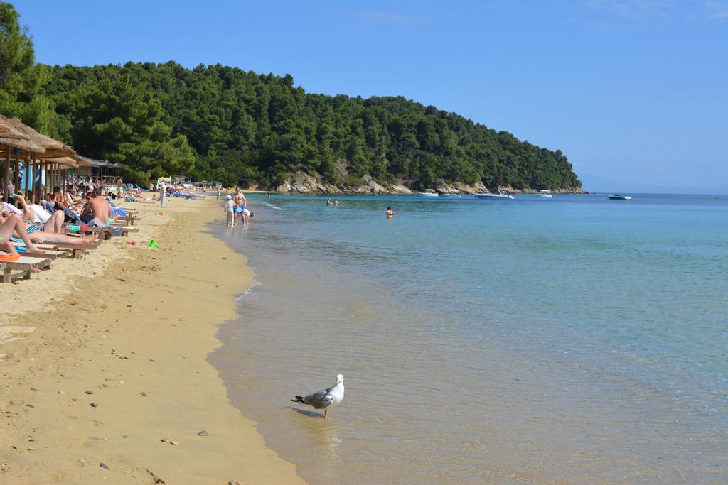 Ostria Apart otel Aya Paraskevi Dış mekan fotoğraf